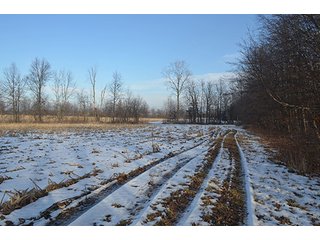 Property photo 48 - FARMLAND AUCTION, 60+/- Acres in 6 Tracts ranging from 4 to 20 acres & in combinations!